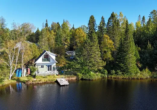 Maison à vendre - 170 Ch. de Lac-à-l'Ours Centre, La Tuque, G9X 0A7