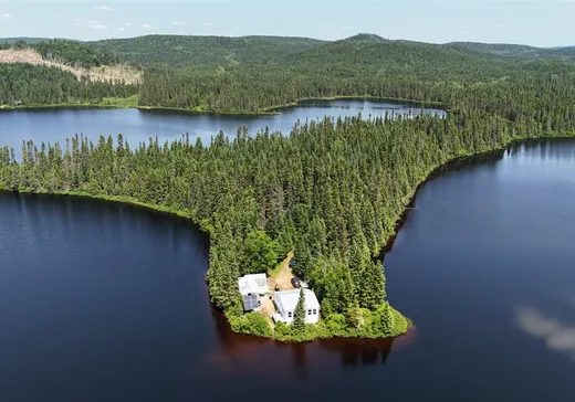 House for sale - 1 Lac de la Carpe, La Tuque, G9X 3P6