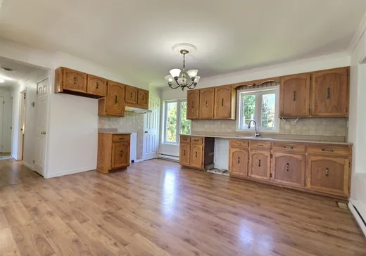 Maison à vendre - 81 Rue Eddy, Victoriaville, G6T 0C4