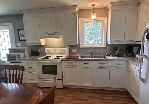 Maison à vendre - 238 Rue Steve, Lefebvre, J0H 2C0