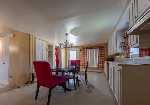 Maison à vendre - 209 Rue Monseigneur-Poirier, Plessisville, G6L 4S8