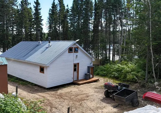 Maison à vendre - 48 Lac Lepage, La Tuque, G9X 0A7