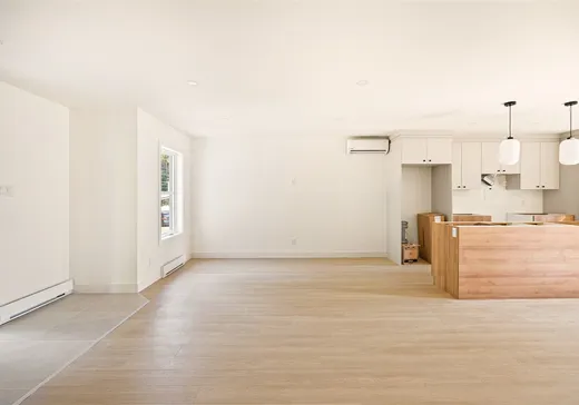 Maison à vendre - 721 Rue de la Colline, Grandes-Piles, G0X 1H0
