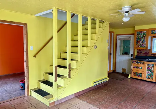 Maison à vendre - 295 Rue St-Albert, Deschambault, G0X 1V0