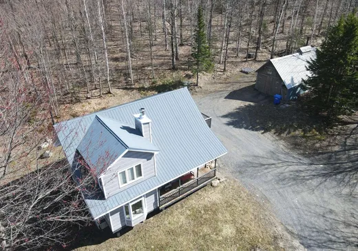 Maison à vendre - 149 Ch. de Leadville, Mansonville, J0E 1X0