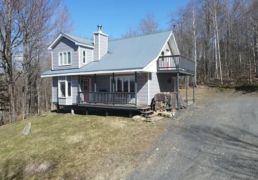 Maison à vendre - 149 Ch. de Leadville, Mansonville, J0E 1X0
