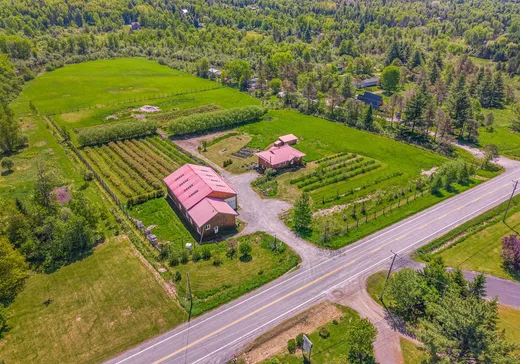 Maison à vendre - 390 Route de Mansonville, Mansonville, J0E 1X0