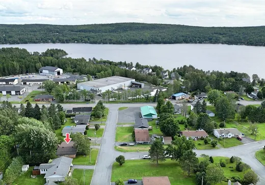 Maison à vendre - 307 Rue de la Montagne, Lac-Etchemin, G0R 1S0