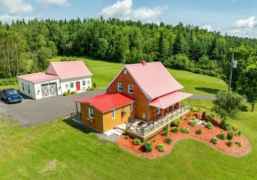 House for sale - 108 Rg de la Pointe-Lévis, St-Damien-De-Buckland, G0R 2Y0