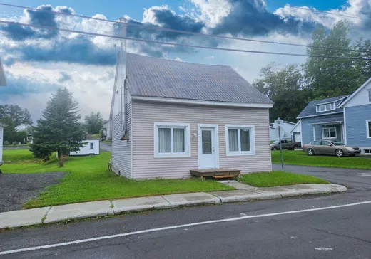 Two or more stories for sale - 217 Rue St-Edmond, Lac-Au-Saumon, G0J1M0
