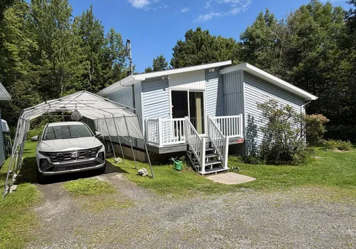 Maison à vendre - 23 Route de Mansonville, Mansonville, J0E 1X0
