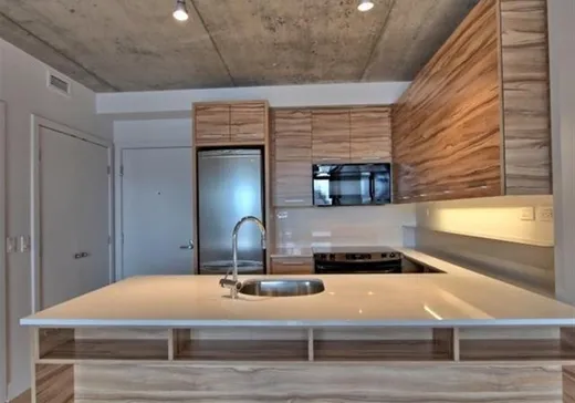 Condo à vendre - 288 Rue Ann, App. 503, Montréal (Ville-Marie), H3C 0L3