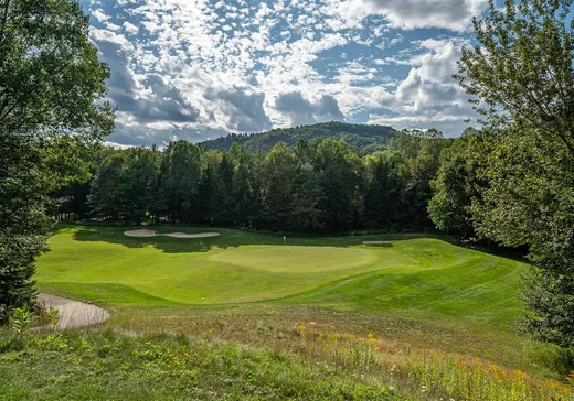 Maison à vendre - 235 Allée des Draveurs, Mont-Tremblant, J8E 0G8