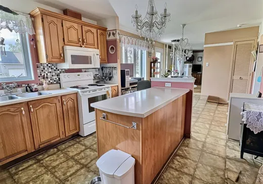 Maison à vendre - 133 Rue Salaberry, Drummondville, J2A 1L3