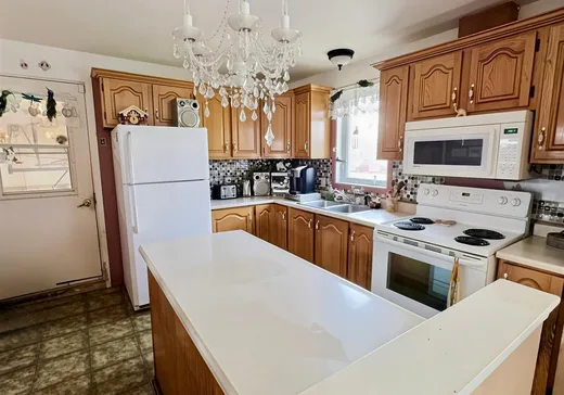Maison à vendre - 133 Rue Salaberry, Drummondville, J2A 1L3