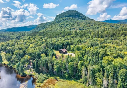Un étage et demi à vendre - 221 Ch. de l'Avalanche, Mont-Tremblant, J0T1P0