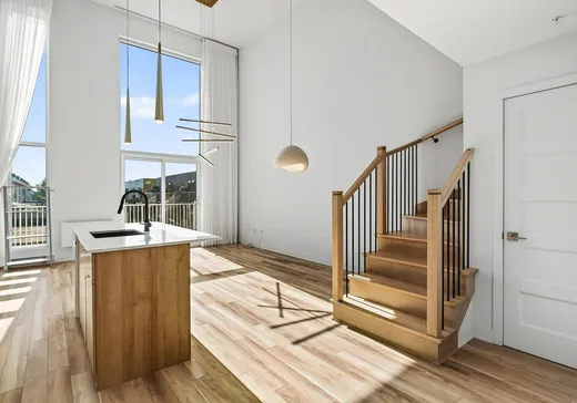 Condo à vendre - 3328 Rue Masson, Montréal (Rosemont–La Petite-Patrie), H1X1R4