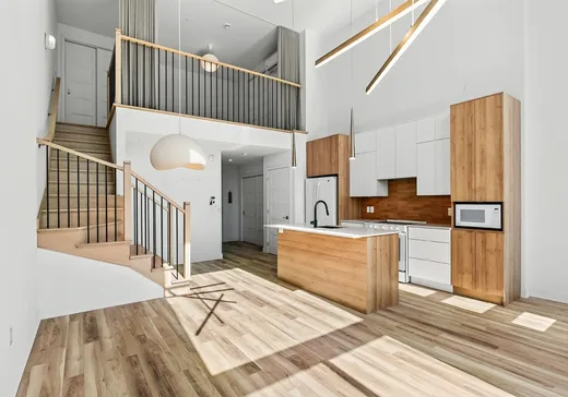 Condo à vendre - 3328 Rue Masson, Montréal (Rosemont–La Petite-Patrie), H1X 1R4