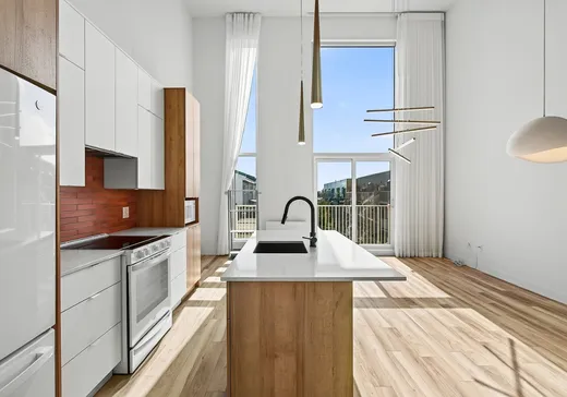 Condo à vendre - 3328 Rue Masson, Montréal (Rosemont–La Petite-Patrie), H1X 1R4