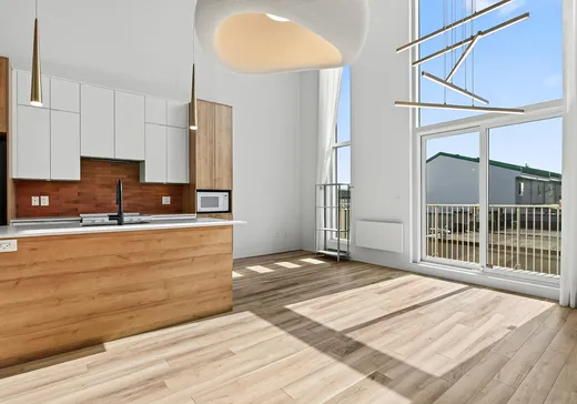 Condo à vendre - 3328 Rue Masson, Montréal (Rosemont–La Petite-Patrie), H1X 1R4