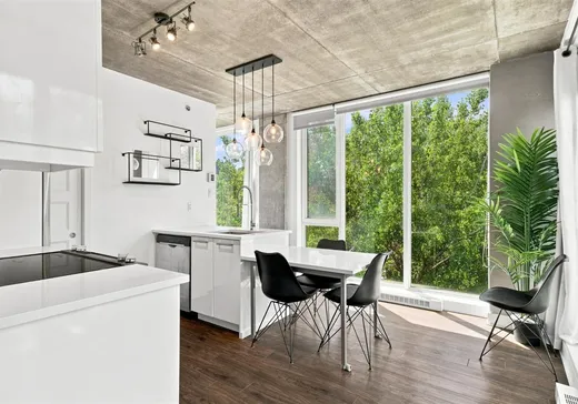Condo for sale - 190 Rue Murray, App. 717, Montreal (Downtown), H3C 2C7