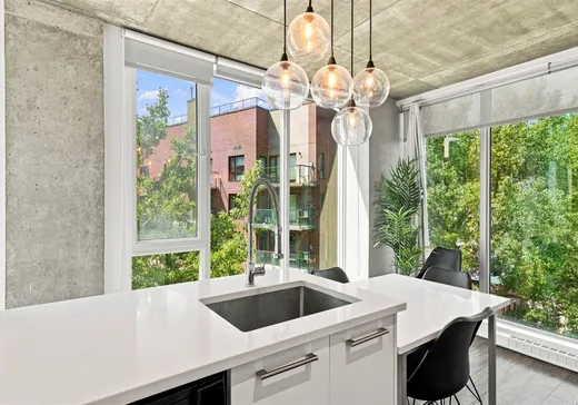 Condo for sale - 190 Rue Murray, App. 717, Montreal (Downtown), H3C 2C7