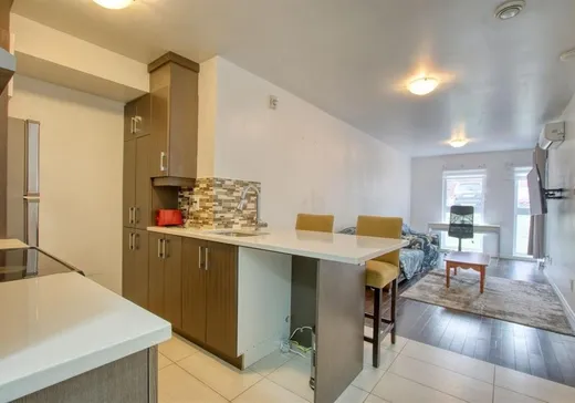 Condo à vendre - 1055 Rue De Bullion, App. 3, Montréal (Centreville), H2X 2Z2