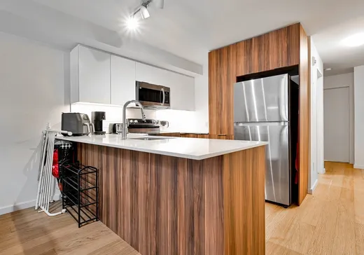 Condo for sale - 3620 Rue Ste-Catherine E., Montreal (Mercier/Hochelaga-Maisonneuve), H1W 0C1