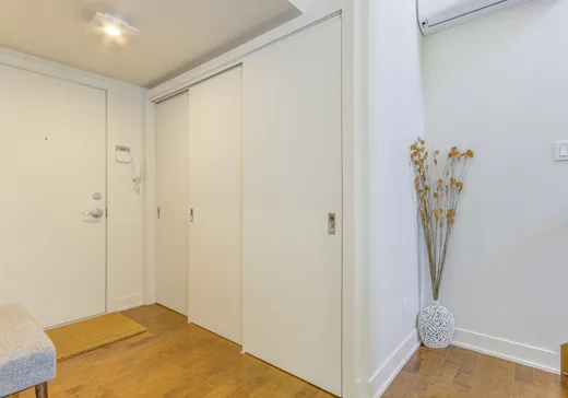 Condo for sale - 5909 Rue des Écores, Montreal (Rosemont–La Petite-Patrie), H2G 2J4