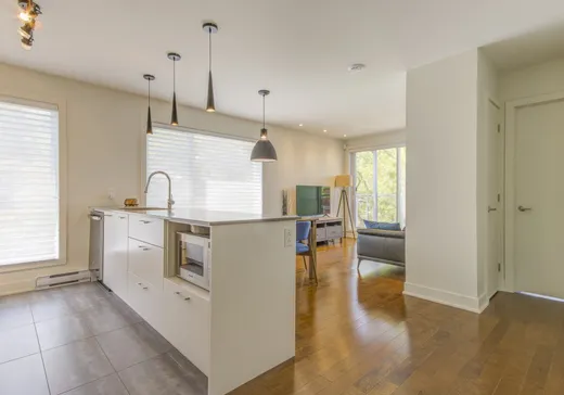 Condo for sale - 5909 Rue des Écores, Montreal (Rosemont–La Petite-Patrie), H2G 2J4
