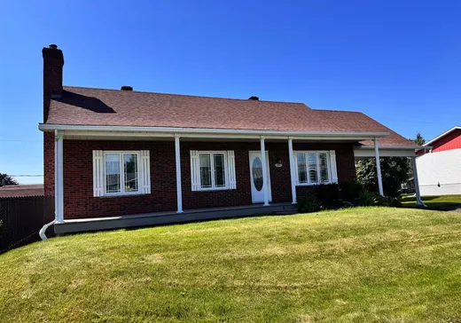 Maison à vendre - 20 Rue St-Hilaire, Plessisville, G6L 4B2