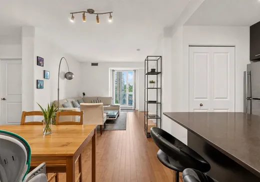 Condo for sale - 555 Boul. René-Lévesque E., App. 317, Montreal (Downtown), H2L 0C2