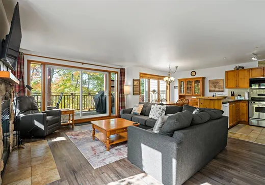 Condo for sale - 197 Ch. de la Forêt, App. 9, Mont-Tremblant, J8E 3K8