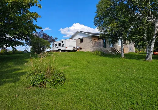 Maison à vendre - 21 Ch. Hodgins, Shawville, J0X 2Y0