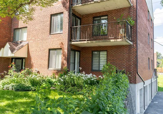 Condo for sale - 1485 Rue de Louvain E., App. 4, Montreal (Ahuntsic/Cartierville), H2M2R4
