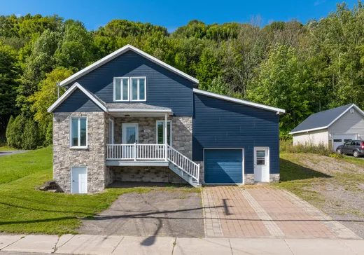 Maison à étages à vendre - 9403 Av. Royale, Sainte-Anne-de-Beaupré, G0A3C0
