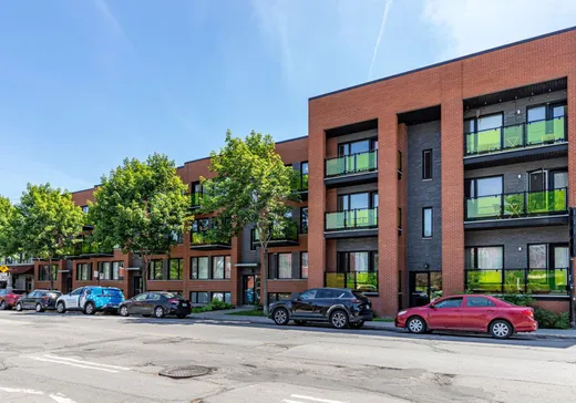 Condo à vendre - 1274 Boul. Rosemont, Montréal (Plateau-Mont-Royal), H2H2A7