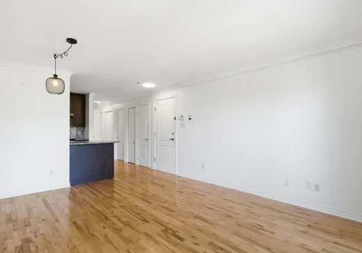 Condo à vendre - 1274 Boul. Rosemont, Montréal (Plateau-Mont-Royal), H2H 2A7