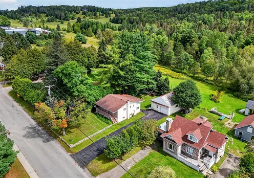 Maison à vendre - 166 Ch. des Fondateurs, La Minerve, J0T 1S0