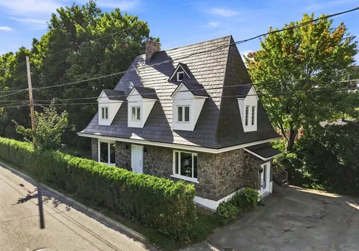 Maison à étages à vendre - 95 Rue St-Georges, Plessisville, G6L4W5