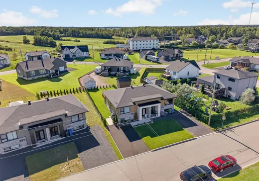 Maison à vendre - 393 Rue des Plaines, Lotbinière, G0S 1N0