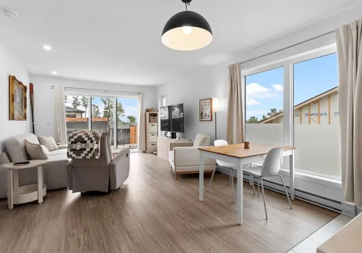 Maison à vendre - 1045 Rue des Orpailleurs, Sherbrooke, J1H 0L1
