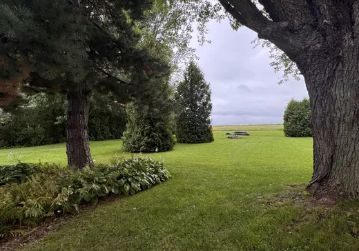 Maison à vendre - 80 Rue Principale, St-Damase, J0H 1J0