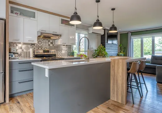 Maison à vendre - 170 Rue Bilodeau, Thetford Mines, G0N 1E0