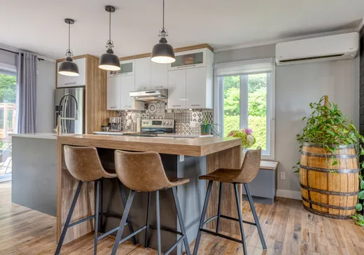 Maison à vendre - 170 Rue Bilodeau, Thetford Mines, G0N 1E0