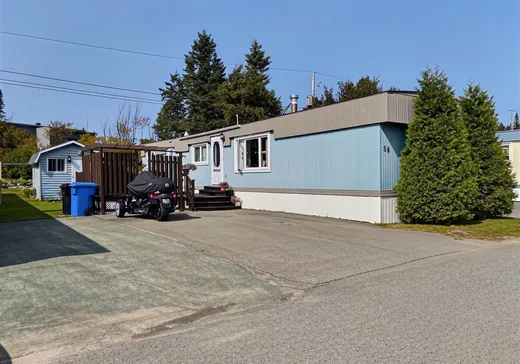 Maison mobile à vendre - 58 Rue du Parc-de-l'Amitié, Notre-Dame-du-Portage, G0L1Y0