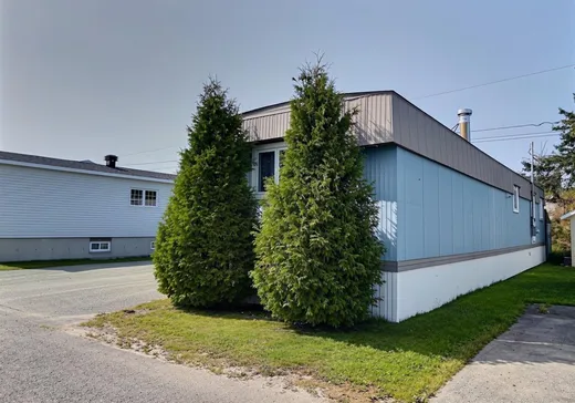Loft for sale - 58 Rue du Parc-de-l'Amitié, Notre-Dame-du-Portage, G0L 1Y0