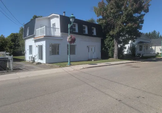 Two or more stories for sale - 130 Rue Principale, St-Jean-De-Matha, J0K2S0