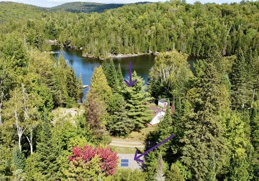 Maison à vendre - 875 Rue du Pacifique, Val David, J0T 2N0