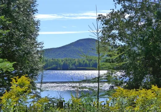 Bungalow à vendre - 181 Ch. des Huards, Weedon, J0B3J0
